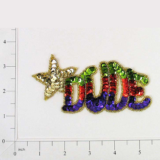 7 1/2" x 4" Dude Sequin Applique/Patch  - Multi Colors