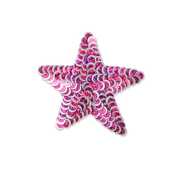 Star Starlight Sequin Applique/Patch